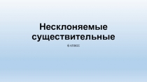Несклоняемые существительные