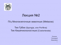 Лекция №2