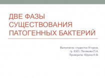 Две фазы существования патогенных бактерий