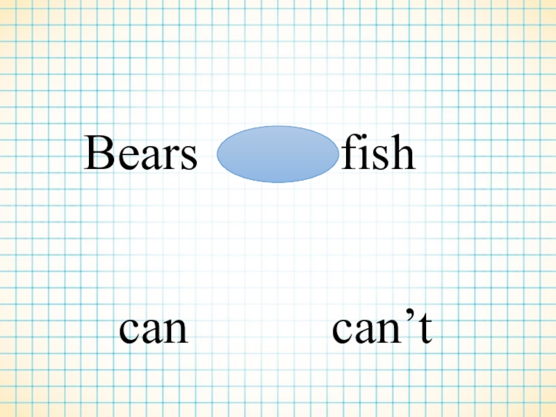 Bears can fly. Lesson 37. How can you make a Bear Fly.