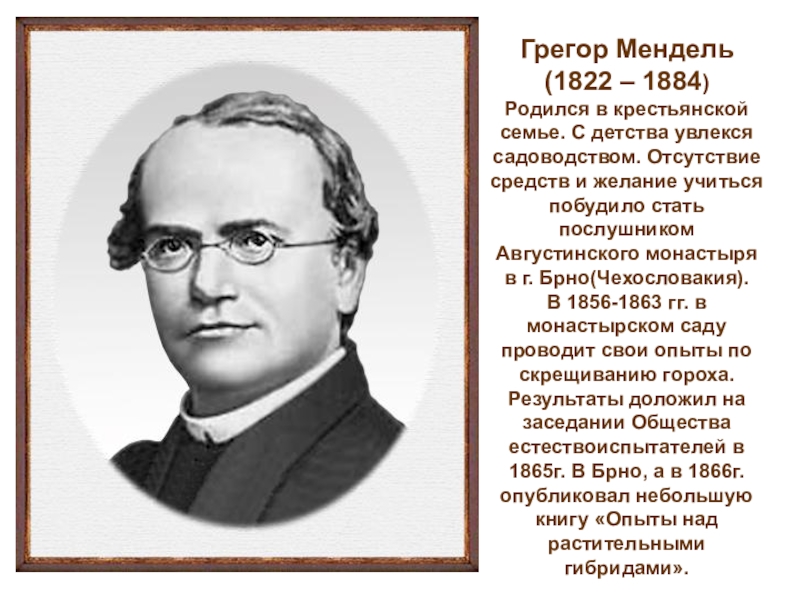 Как назвал г мендель. Грегор Мендель генетика. Грегор Мендель основоположник. Г Мендель основоположник генетики. Грегор Иоганн Мендель(1822 – 1884).