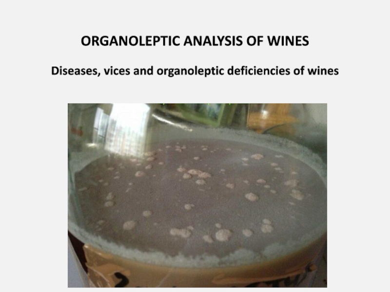 ORGANOLEPTIC ANALYSIS OF WINES
Diseases, vices and organoleptic deficiencies of