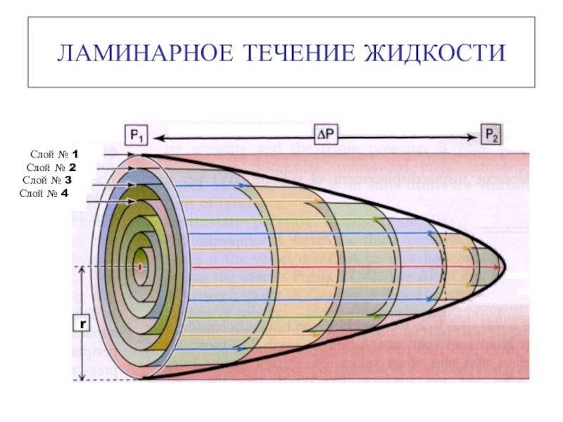 Ламинарная жидкость. Ламинарный поток жидкости. Ламинарное течение воды. Ламинарный поток воды. Ламинарное течение в коническом сечении.