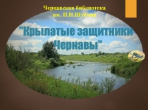 Крылатые защитники
Чернавы