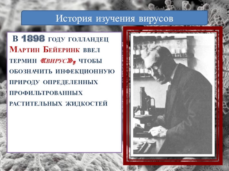 Бейеринк вирусы. В 1898 году ввел термин вирус. История изучения вирусов.