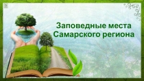 Заповедные места Самарского региона