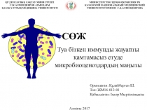 СӨЖ
