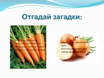 Отгадай загадки: