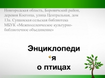 Новгородская область, Боровичский район, деревня Коегоща, улица Центральная,