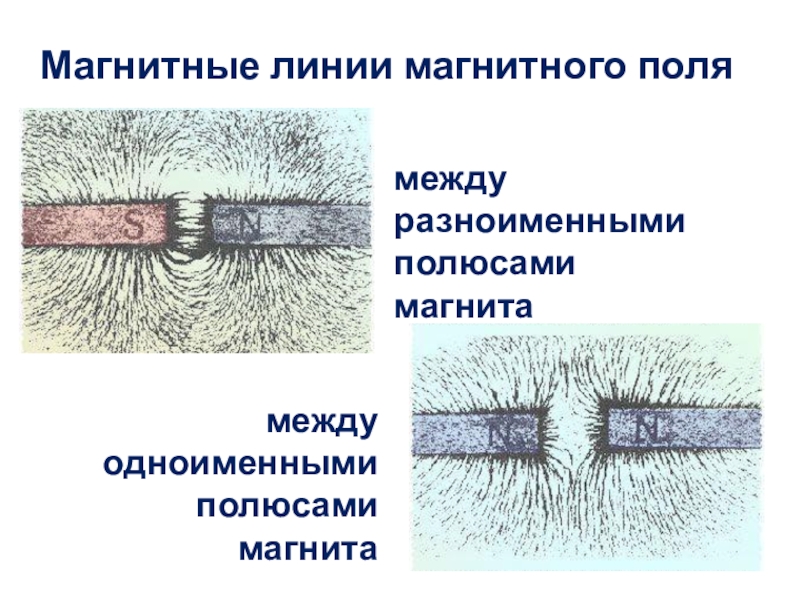 Магнитное поле при взаимодействии разноименных полюсов магнита рисунок