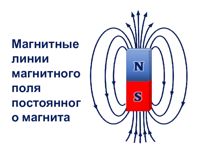 Магнитные линии. Магнитные линии магнита.