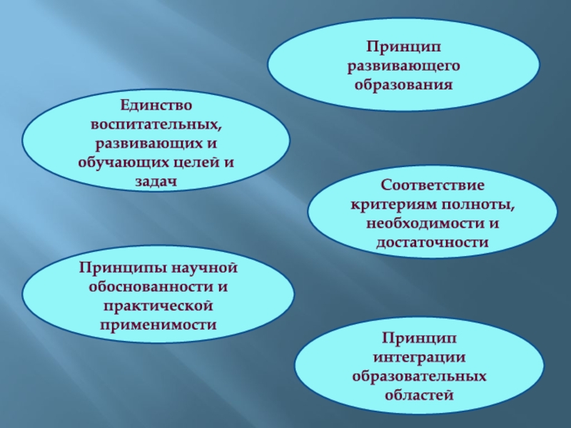 Задачи образовательные воспитательные развивающие. Единство воспитательных развивающих и обучающих целей и задач. Принципы развивающего обучения. Цель развивающего обучения. Принцип единства образования.