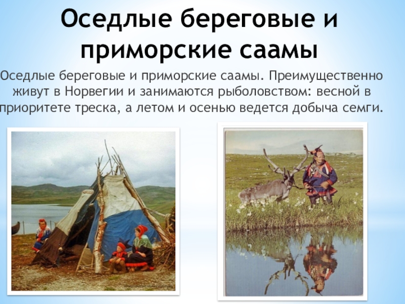 Оседлые особенности. Рыболовство саамов Кольского полуострова. Саамы традиционные занятия. Народы европейского севера саамы. Саамы презентация.