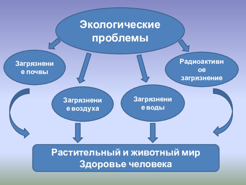 Проблемы экологии в школе