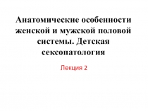 Анатомические особенности женской и мужской половой системы. Детская