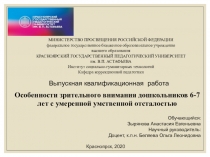 Выпускная квалификационная работа