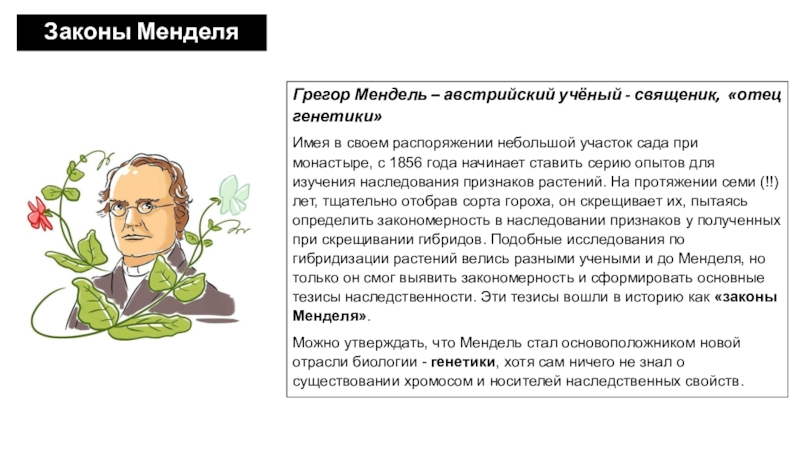 Закон отца. Грегор Мендель отец генетики. Мендель Сергей Александрович. Папа в законе. Генетика австрийский ученый.