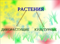 Plants - №1. Задание. Культурные и дикорастущие растения