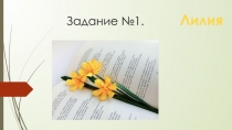 Задание №1