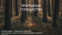 ПРИРОДНЫЕ СООБЩЕСТВА
На фотографии – природное сообщество: сосновый бор в