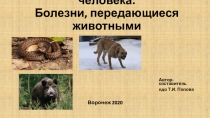 Нападение животных на человека. Болезни, передающиеся животными