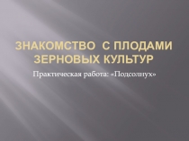 Знакомство с плодами зерновых культур