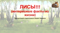 ЛИСЫ!!! (интересные факты из жизни)