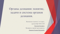 Органы дознания: понятие, задачи и система органов дознания