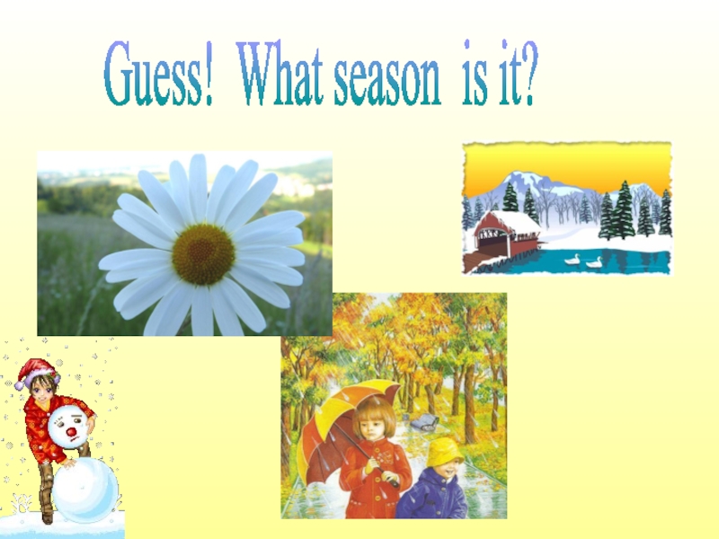 Guess! What season is it?