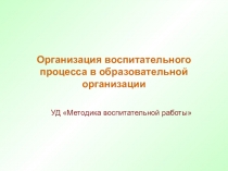 Организация воспитательного процесса в образовательной организации