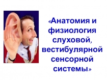 Анатомия и
физиология слуховой, вестибулярной сенсорной системы
