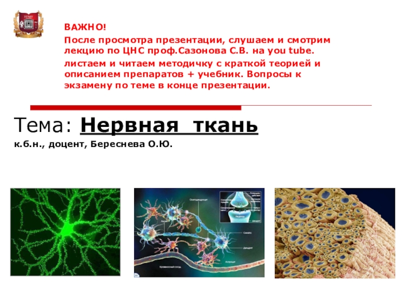 Тема : Нервная ткань
к.б.н., доцент, Береснева О.Ю.
ВАЖНО!
После просмотра