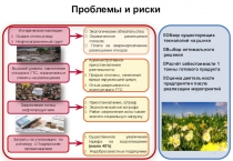Проблемы и риски