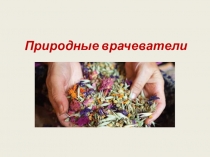 Природные врачеватели