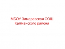 МБОУ Зимаревская СОШ Калманского района