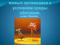 Приспособленность живых организмов к условиям среды обитания