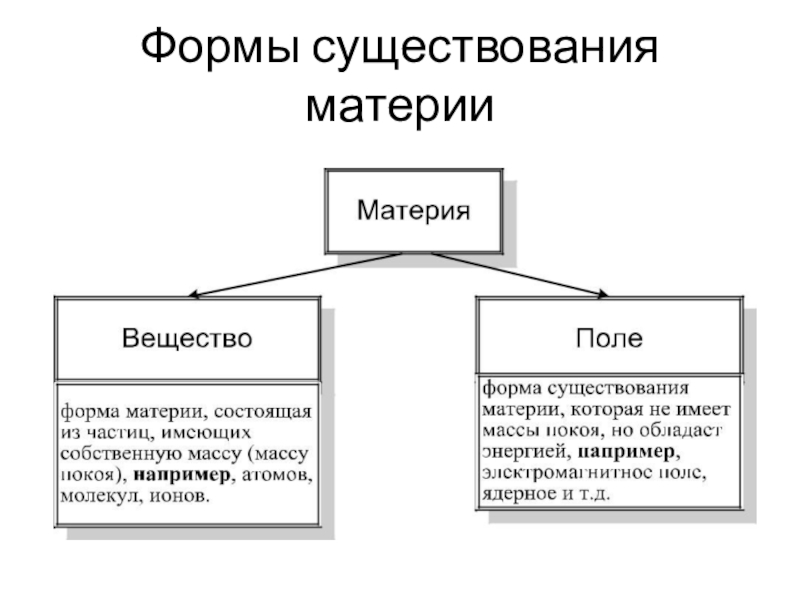 Схема основные формы бытия