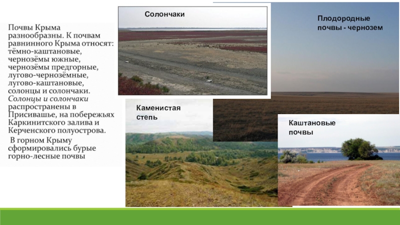 Какая почва в степи. Темно-каштановые почвы Крыма. Каштановые почвы Крыма. Горно-степные каштановые почвы. Плодородные почвы Крым.