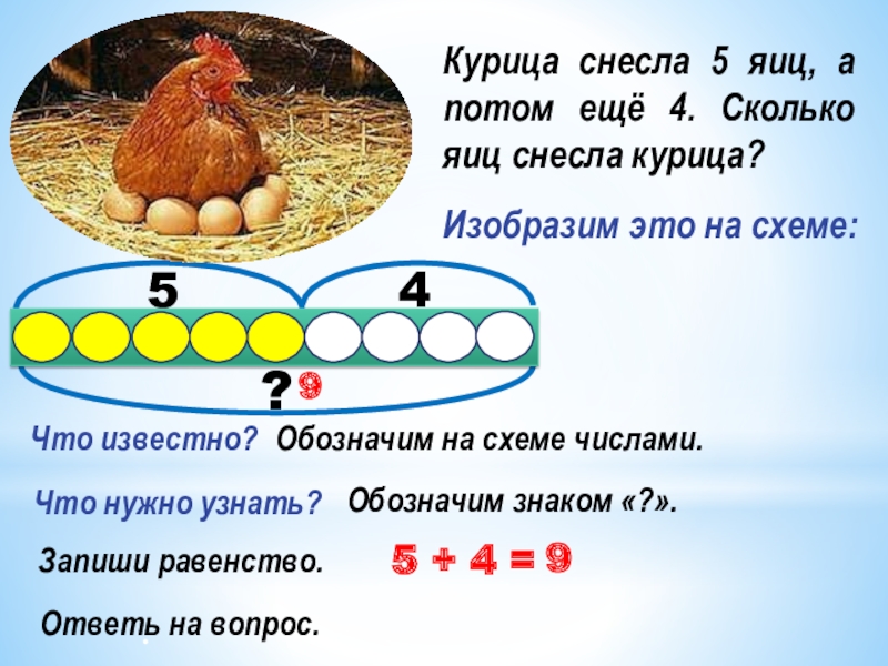Разбор слова курица. Сколько яиц снесла Чернушка. Задания с курицей. Каждая курица снесла по 5 яиц. Каждая курица снесла 5 яиц Нарисуй эти яйца вычисли.