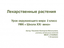 Лекарственные растения