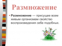 Размножение