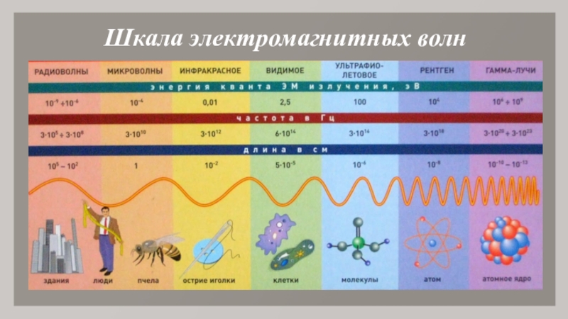 Особенности волн электромагнитные волны установите соответствие