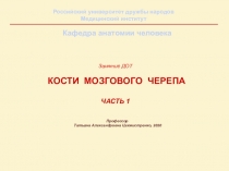 Занятие ДОТ кости мозгового черепа часть 1
