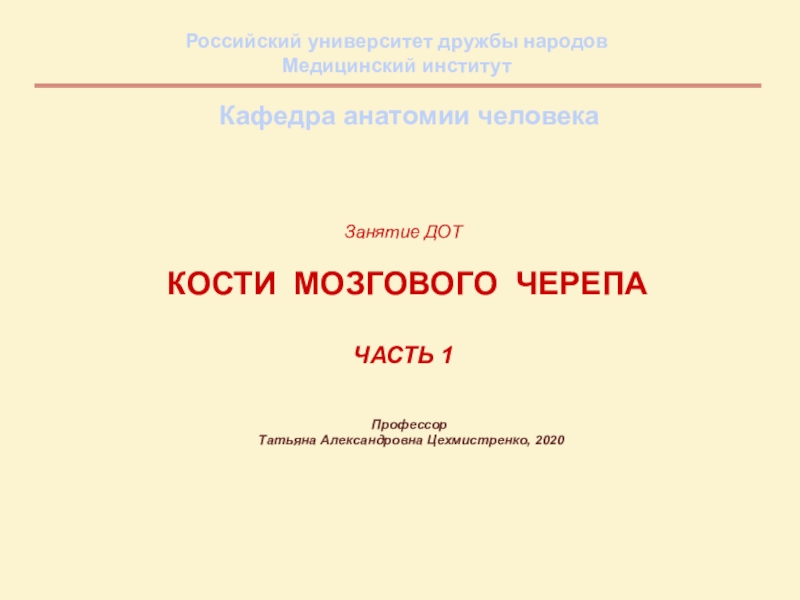 Презентация Занятие ДОТ кости мозгового черепа часть 1