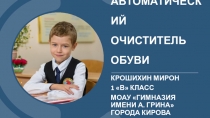 Автоматический очиститель обуви