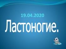 19.04.2020
