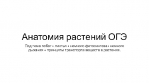 Анатомия растений ОГЭ
