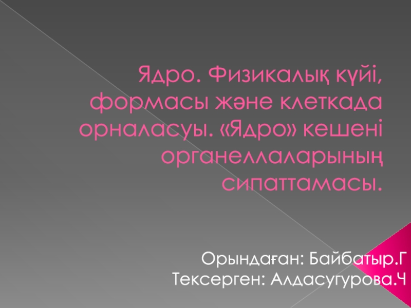 Ядро. Физикалық күйі, формасы және клеткада орналасуы. Ядро кешені