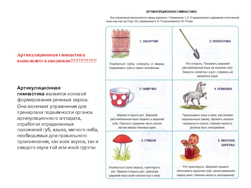 Артикуляционная гимнастика выполняется