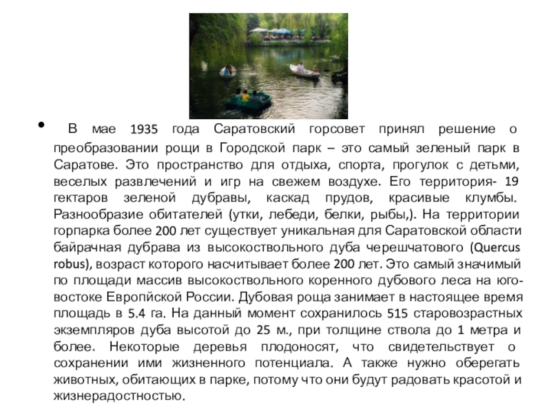 В мае 1935 года Саратовский горсовет принял решение о преобразовании рощи в Городской парк – это